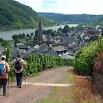 Pensionat Wein- Und Gaestehaus St. Aldegundishof 3*