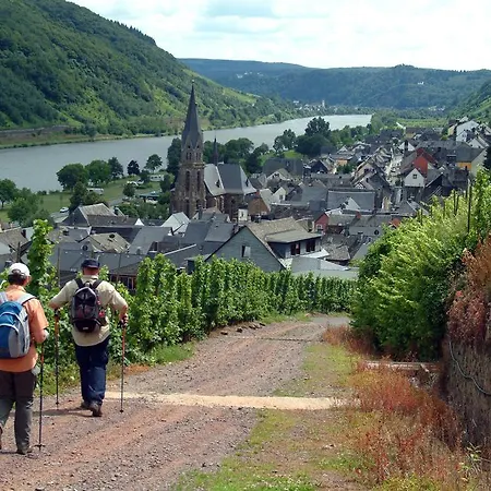 Penzion Wein- Und Gaestehaus St. Aldegundishof 3*