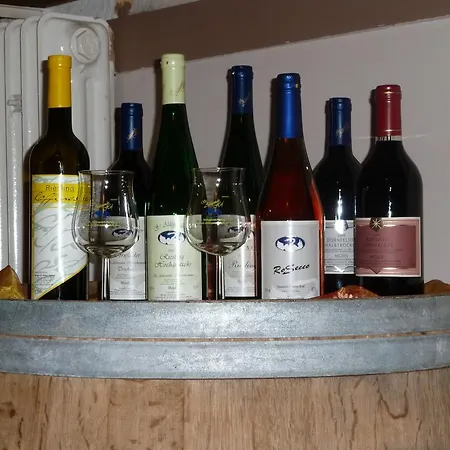 Penzion Wein- Und Gaestehaus St. Aldegundishof