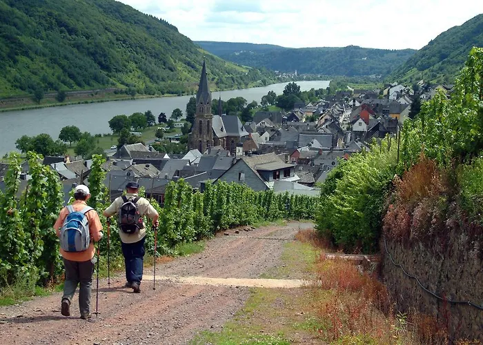 Casa de hóspedes Wein- Und Gaestehaus St. Aldegundishof 3*