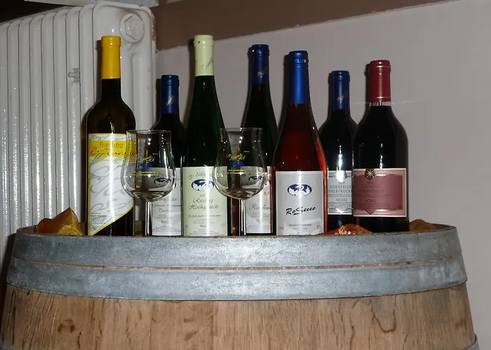 Gasthuis Wein- Und Gaestehaus St. Aldegundishof