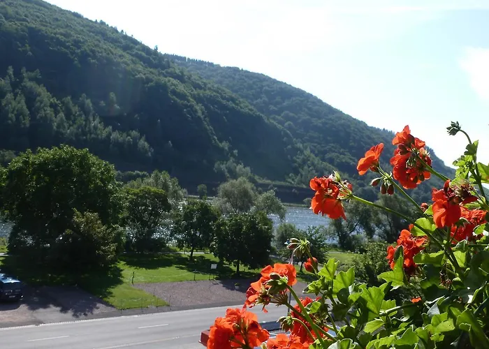 Wein- Und Gaestehaus St. Aldegundishof Sankt Aldegund